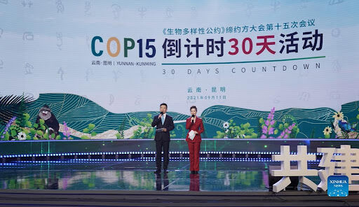 کنفرانس بین المللی تنوع زیستی سازمان ملل در چین آغاز شد