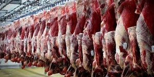 اجرای طرح خرید حمایتی گوشت قرمز در همدان/ خریداری ۱۸۲ تن گوشت